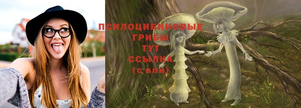 герыч Алзамай